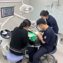 노블리안치과의원 | 충남 논산시 임플란트 치과 비용 정보, 치료비 70%까지 정부지원금 받는 방법