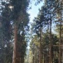 자연체계-산 이미지