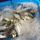 고래의 꿈 민박 이미지