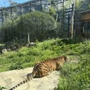 영락유치원 | 대구 동물원 네이처파크 4살 아기랑 대구 가볼만한 곳
