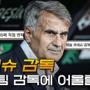 정보) 귀네슈 감독의 베식타스 2기 시절 분석 ㄷㄷㄷ 이미지