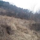 행복한전원공인중개사사무소 이미지