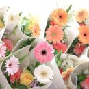 수원-0748 이미지