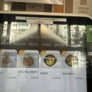 영카츠대치 | 대치역 돈까스 영카츠 대치본점 런치후기