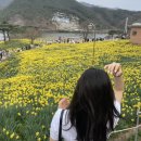 Layblehair(레이블헤어) | 되고싶었던 나,, 매직하고 왔다. 순천 레이블 헤어 다온원장님 후기(역시나 말모,,그리고 역시나 내돈내산)