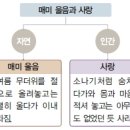 매미 울음 끝에(박재삼) 이미지