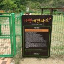 목감동물병원 이미지