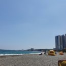 몽돌