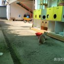 금마면행정복지센터 이미지