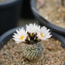 순박1농장 이미지