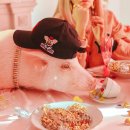 골드피그 이미지