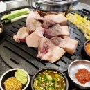 조연탄