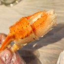 정직한대게집 이미지