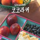 코코호도부산동일 | 코코라커 캔디팟 도시락 부산 롯데백화점 팝업 피크닉 좋아한다면 꼭가세요!