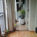 내서읍361 이미지