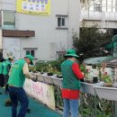 온양2동 중앙로 이미지