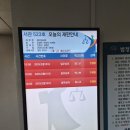 해병대 제1사단(상장대대) | 임성근, 박상현, 최진규 11차 공판 모니터링_해병대예비역연대