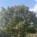 비전투어 | 더 시그니처 2025 OST 힐링 투어 콘서트 마임비전빌리지 관람 후기