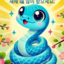 대치1-113 이미지