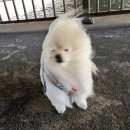 얌얌 이미지