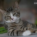 김성록동물병원 이미지