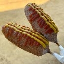 연소프트 | [양평 두물머리 맛집] 양평두물머리연핫도그 원조(내돈내산/솔직후기/웨이팅/주차꿀팁/밀키트)