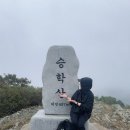 당리 동원 2차베네스트아파트 | 부산승학산/등산로 추천코스/억새풀