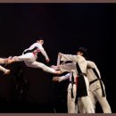 대호 영빈태권도 이미지