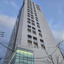 마리애견 | 속초여행 뷰 맛집 가성비호텔 추천, 강원애견동반숙소 속초마리비스타호텔 오션레이크뷰 후기