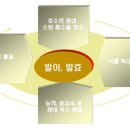 효소발효와 건강식이 이미지