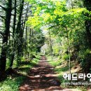 아름다운 마을 이미지