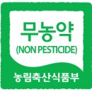 팜러닝 이미지