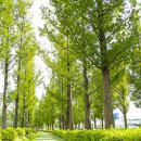 부산시민공원방문자센터지하1층 이미지