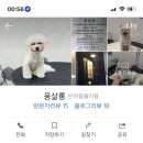 웅살롱 이미지