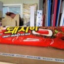 브이엠디(VMD)코리아 이미지