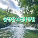 운장산자연휴양림 | 전국 자연휴양림: 전북 진안 운장산자연휴양림 숲속의집