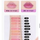 440 | 여쿨라 19호 립 추천｜샤넬 91 보헴·입생로랑 440·맥 포토제닉 발색 &amp; 지속력 후기