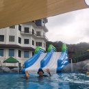 세븐일레븐 장흥안단테점 이미지