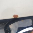 청주자동차공업사 이미지