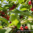 자현당한옥스테이 이미지