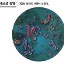 유성언니여성의원 네이버블로그