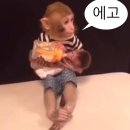 (주) 로그 이미지