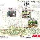 초안산 유아숲체험장 이미지