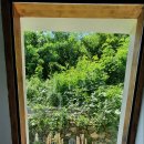 남해일식 이미지