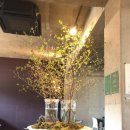 광만농장 | 지타 엘체, 서울에서의 여정 1