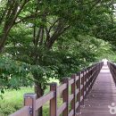 버들유치원 | [전라남도 화순군] 물사랑 배움터