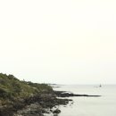 포동목장 이미지