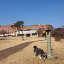 안 수의과병원 이미지