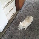 산천낚시터 이미지