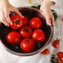 갓 따옴 이미지